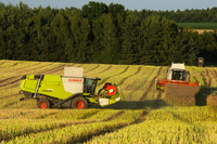 Zbi�r rzepaku 2025 OHZ w Osieku Sp. z o. o.